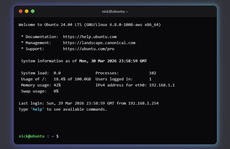 Developer Portfolio Website